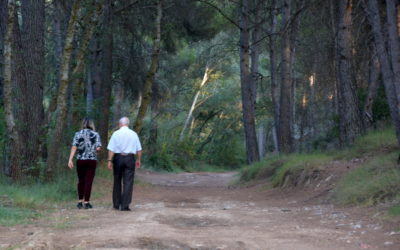 Estrategias positivas para la familia ante problemas mentales graves